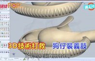 (粵)3D技術打救 狗仔裝義肢