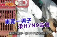 (粵)東莞一男子  染H7N9命危