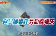 外勞司機｜運輸署輸入內地車長為紓緩人手短缺 司機若「秘撈」將取消工作資格