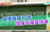 (粵)高僧圓寂17年 肉身不腐受供奉