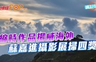 外勞司機｜運輸署輸入內地車長為紓緩人手短缺 司機若「秘撈」將取消工作資格