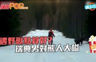 (粵)瑞典男靠大嗌　擊退大熊人