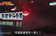 外勞司機｜運輸署輸入內地車長為紓緩人手短缺 司機若「秘撈」將取消工作資格