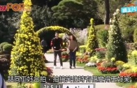 (粵)始源想同黃靜茵再合作　笑對方唔突出