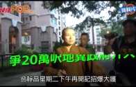 (港聞)翁靜晶曾收集團警告　 爭20萬呎地冀政府介入