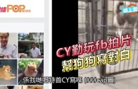 (港聞)CY勤玩fb拍片　 幫狗狗寫對白　