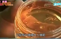 Charlie Kirk遭槍殺｜美政壇最具影響力保守派新星 推動年輕選民撐特朗普