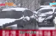 (粵)暴雪襲日本　南韓大風雪致交通意外
