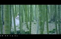 蘇運瑩《冥明》MV