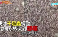 Charlie Kirk遭槍殺｜美政壇最具影響力保守派新星 推動年輕選民撐特朗普