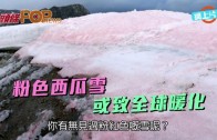 (粵)粉色西瓜雪　或致全球暖化