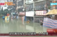 黃雨｜元朗天后古廟木棉飛絮現「漫天冰雹」奇景 檔販:風雨大到帳篷都爛咗3個