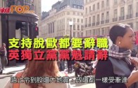 (粵)支持脫歐都要辭職　 英獨立黨黨魁請辭