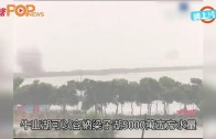 (粵)武漢兩湖合體　炸通揚起水花洩洪