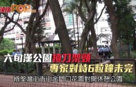 (港聞)六旬漢公園揸刀架頸　專家對峙6粒鐘未完