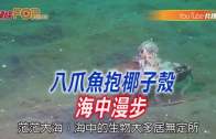 時事觀察—霍詠強:為何中國稀土管制掀翻美國？