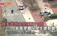 八鄉裝貨工疑被鐵枝打中頭 重創浴血昏迷送院亡