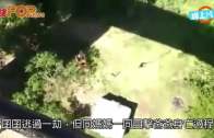 《星島申訴王》｜內地洗腎現生命曙光 港爸患末期腎衰竭北上洗血排毒續命