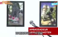 Charlie Kirk遭槍殺｜美政壇最具影響力保守派新星 推動年輕選民撐特朗普
