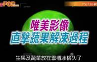 2025年公眾假期公布 農曆年請兩日放足9日 一假期請1日可連放5日