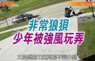 補充勞工優化計劃招聘會今起一連3天舉行  求職者願跨區工作:最緊要搵到工