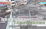 (粵)福島核電站現燃料碎片  下月檢查計劃清理廢棄