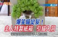 Charlie Kirk遭槍殺｜美政壇最具影響力保守派新星 推動年輕選民撐特朗普