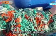 (粵)海洋垃圾殃及無人島  18噸塑膠慘冠全球