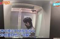 (粵)滬青年燒完ATM尿尿救火  被炒魷要其他人˝陪窮˝