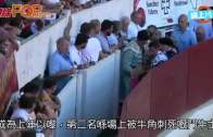 (粵)著名鬥牛士被斗篷絆倒 遭牛角刺穿肺慘死