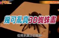 幾可亂真 3D蜘蛛畫