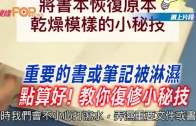 外勞司機｜運輸署輸入內地車長為紓緩人手短缺 司機若「秘撈」將取消工作資格