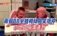 補充勞工優化計劃招聘會今起一連3天舉行  求職者願跨區工作:最緊要搵到工