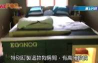 補充勞工優化計劃招聘會今起一連3天舉行  求職者願跨區工作:最緊要搵到工