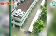 澳門男水中游蝶泳  真相原來為救人