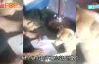 Charlie Kirk遭槍殺｜美政壇最具影響力保守派新星 推動年輕選民撐特朗普