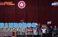 立法會選舉2025｜新民黨派8人出選 5人為新丁 葉劉正式下台