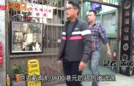 單車節2025｜11.30舉行 明早10點開始報名 共開放6000名額 首設「世界大學盃」