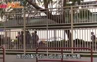 江蘇商場冧地板 女顧客跌黑洞骨折樓下工人壓傷腿｜有片