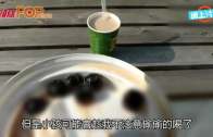 補充勞工優化計劃招聘會今起一連3天舉行  求職者願跨區工作:最緊要搵到工