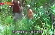 陶傑:拜山變成燒山節 政府捉到歹徒要砸其祖墳