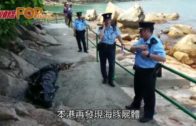 赤柱發現海豚屍體  警方消防合力抬上岸