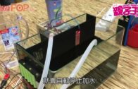 樂善堂余近卿中學 學生創作實用STEM產品