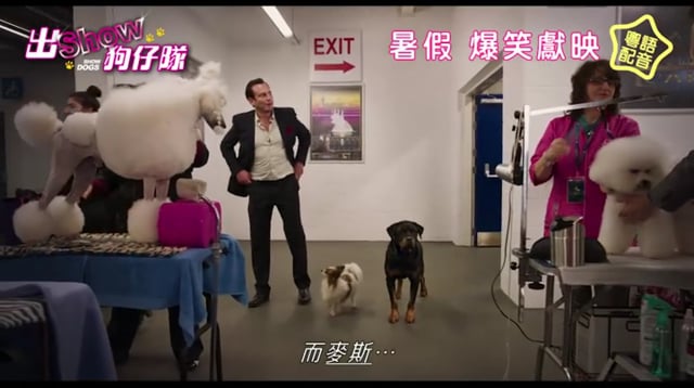 《出Show狗仔隊》預告 | Singtao.tv