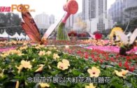 42萬株花維園盛放 香港花卉展明開鑼