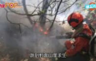 四川山火3日未熄  24救援人員遇難