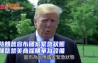 特朗普宣布國家緊急狀態 鋪路禁美商採購華為設備