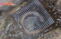 食環署深水埗洗街  指清潔運動要有綱領