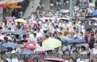 黃雨｜元朗天后古廟木棉飛絮現「漫天冰雹」奇景 檔販:風雨大到帳篷都爛咗3個