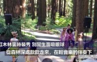 河南大學大禮堂修繕期間失火 百年古建築付之一炬